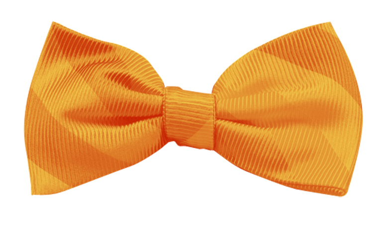 pajarita naranja fundación josep carreras